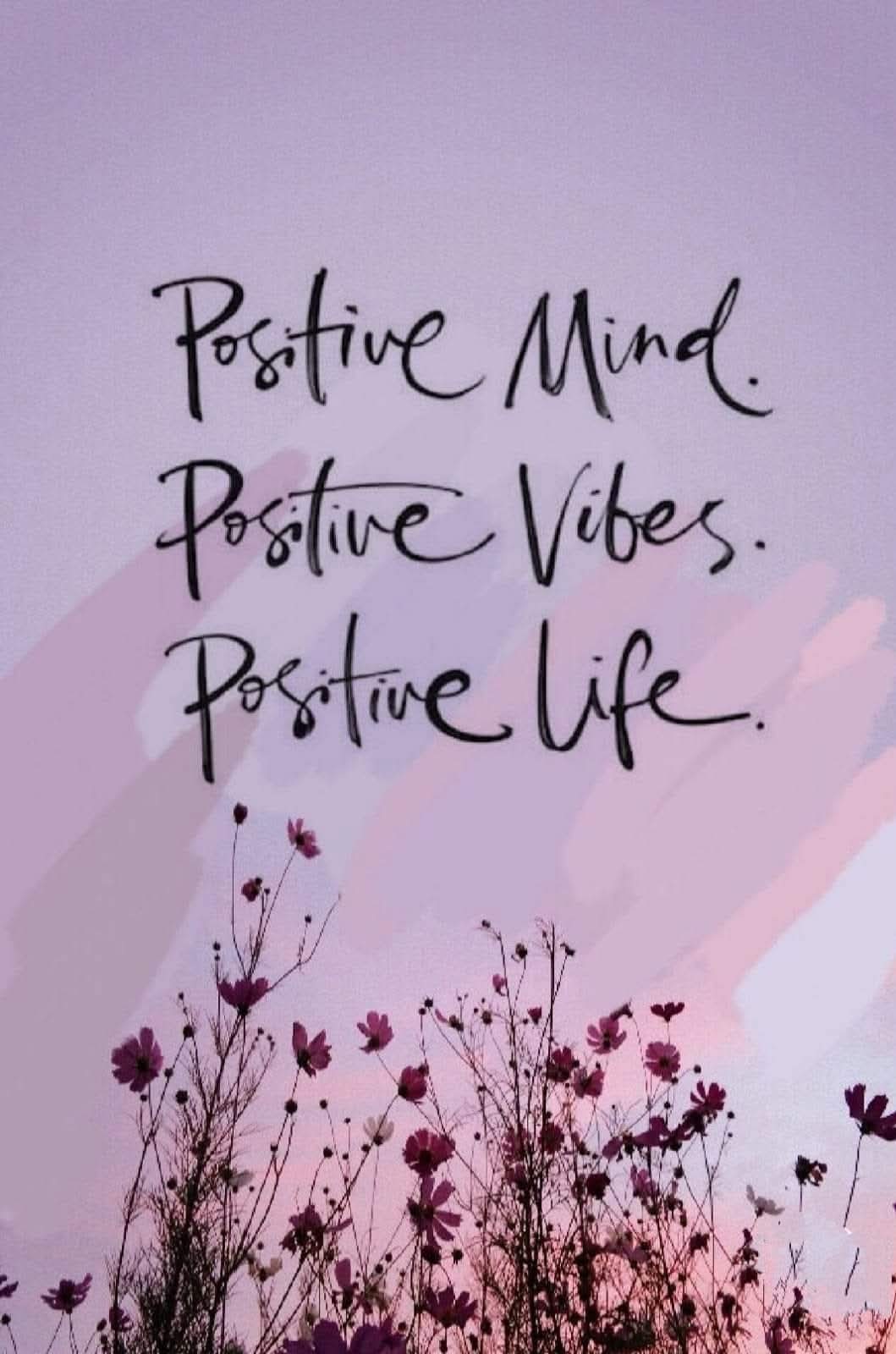 WhatsApp Image 2025-05-25 at 1.05.55 PM (1)