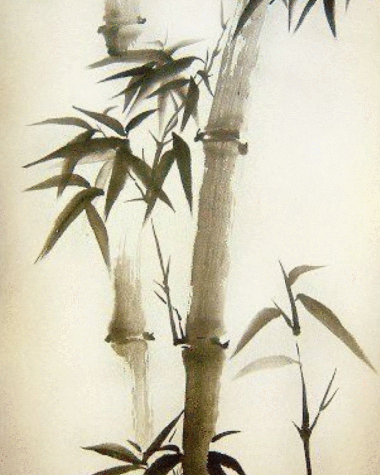 Untitled design (11)